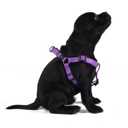 Rogz Step-In Hundesele Smart Design Lilla